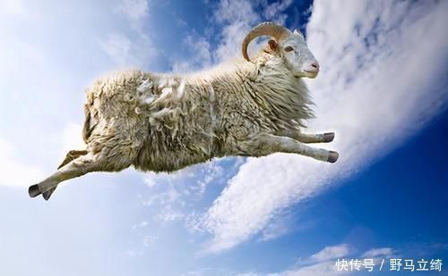 情绪自救|“早知道这2点,何必吃药十几年?反复失眠早好了”:建议收藏好