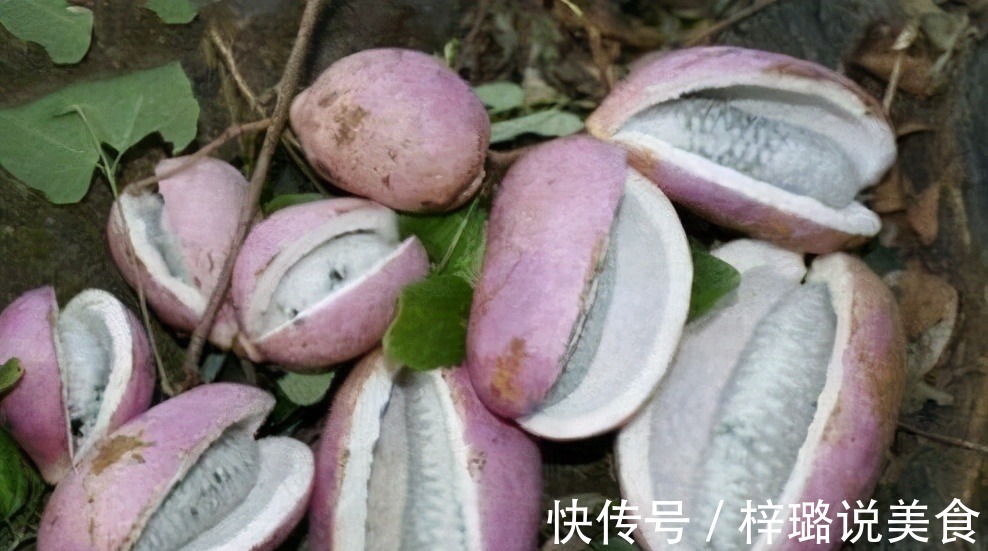 杏仁|小食物大养生,女人冬天常吃3种食物,滋润皮肤,有益健康!