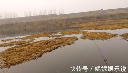 冬钓讲究人找鱼,选择这些位置做钓点,都是鱼儿扎堆的地方!