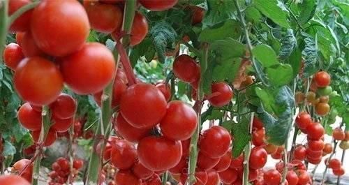 血管|中老年人坚持吃8种食物,高血压远离你,血管年轻20岁,身体更强壮