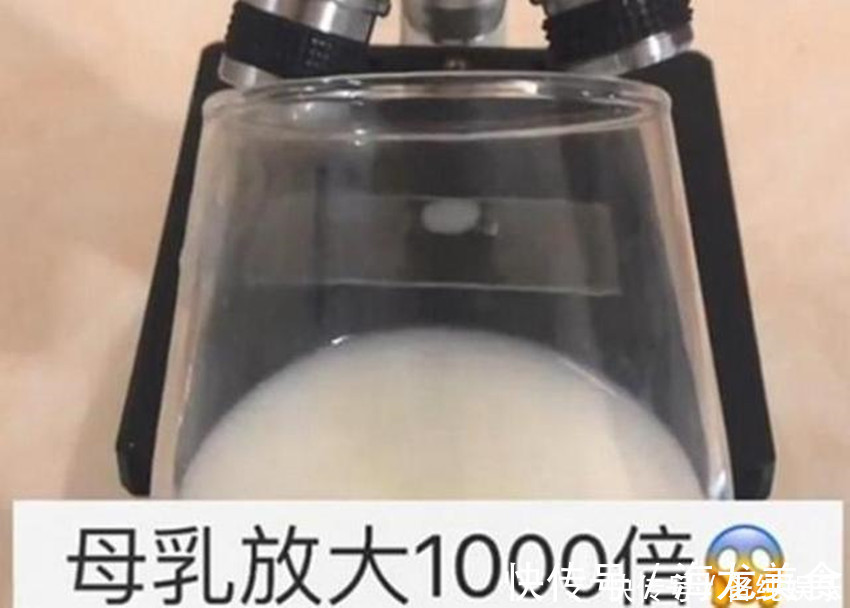 卵巢癌|当母乳被放大1000倍后,在显微镜下轻轻蠕动,纯净得令人难以置信