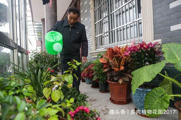 植株|养花六要素，养花入门必备知识点