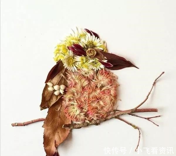 何方|趣味测试你喜欢哪个花草拼成的动物,测你近期感情运势走向何方