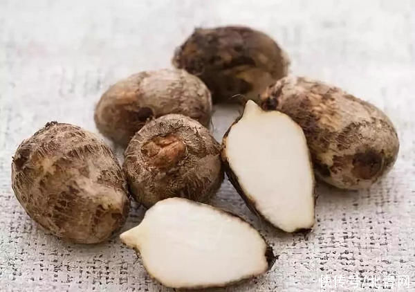 8种发芽的食物不但可以吃,反而能提高营养价值