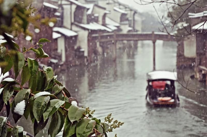 中国年|初雪已至春未远 乌镇迎红白两色中国年