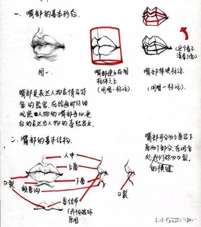 鼻子|速写头部总是掌握不了？让我一篇帮你搞定