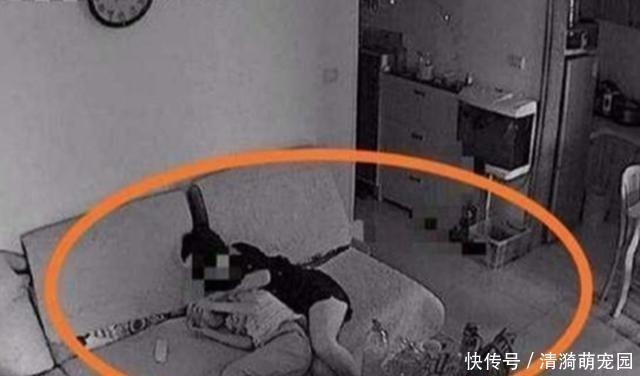 回家|11岁男孩将小女友带回家,爸爸看到监控俩孩子动作,坐不住了