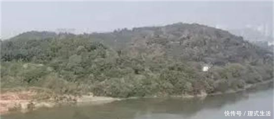 总指挥|第一次“围剿”红军前敌总指挥为何落得如此下场,跟他自作孽有关