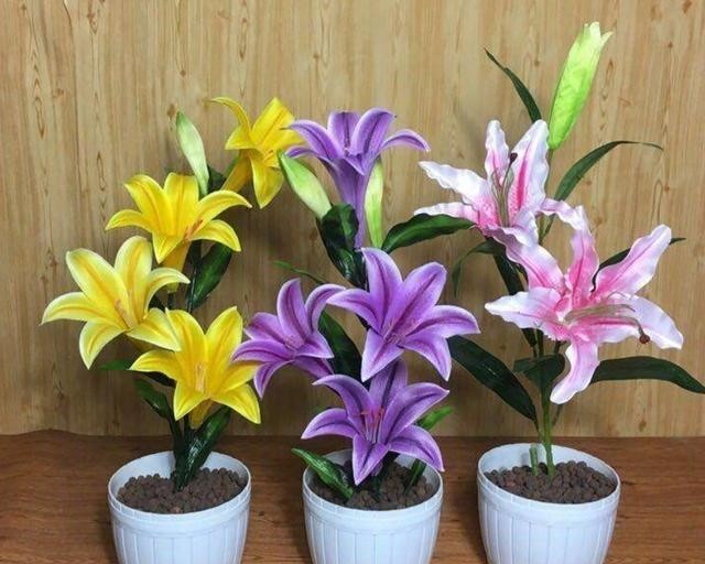  明年|今年的百合种球别扔了，教你1个小技巧，让它明年再次开花！