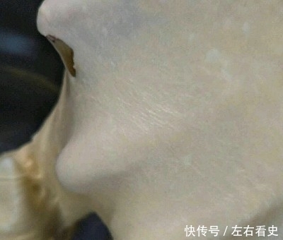 #带着零食去旅行!#波兰种——南瓜芝士包