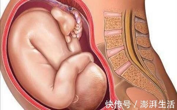 第四个月|胎儿形成的全过程,十张高清组图让你了解生命孕育,感叹妈妈伟大