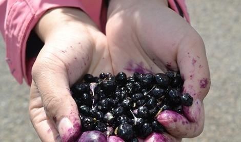 高血糖|医院不会告诉你，此物是天然的“胰岛素”，睡前吃点，省钱降血糖