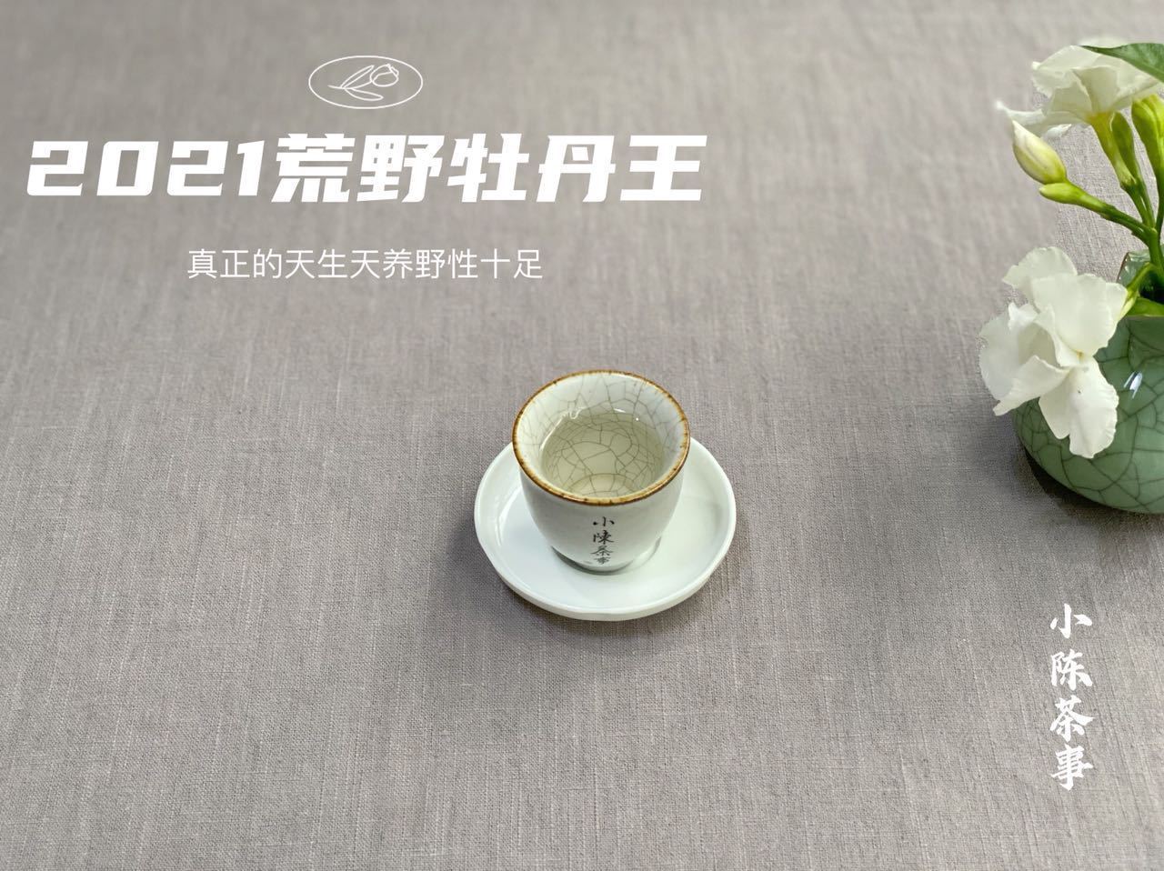 茶罐#五大堪称鸡肋的茶具，如果你家也有，请早点丢出茶室