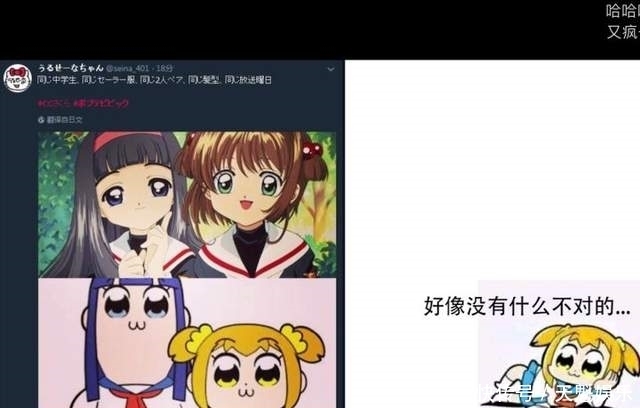 a8703|pop子和pipi美的日常,喜欢屎味巧克力,还是巧克力味的屎