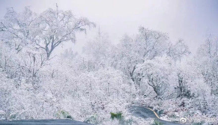 春雪|冰雪世界！春雪后的汶川沿路冰花绽放