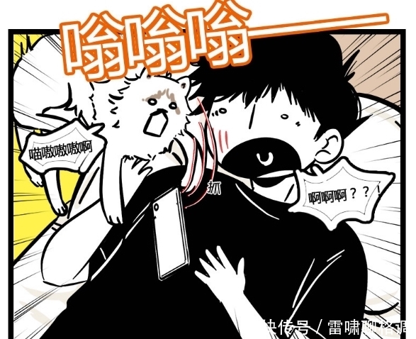 没想到|搞笑漫画：放假就想着上学的好，空虚的只靠撸猫怎么行！