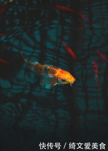 钓鱼|钓鱼有7大害处8个好处,到底是钓呢还是戒了呢