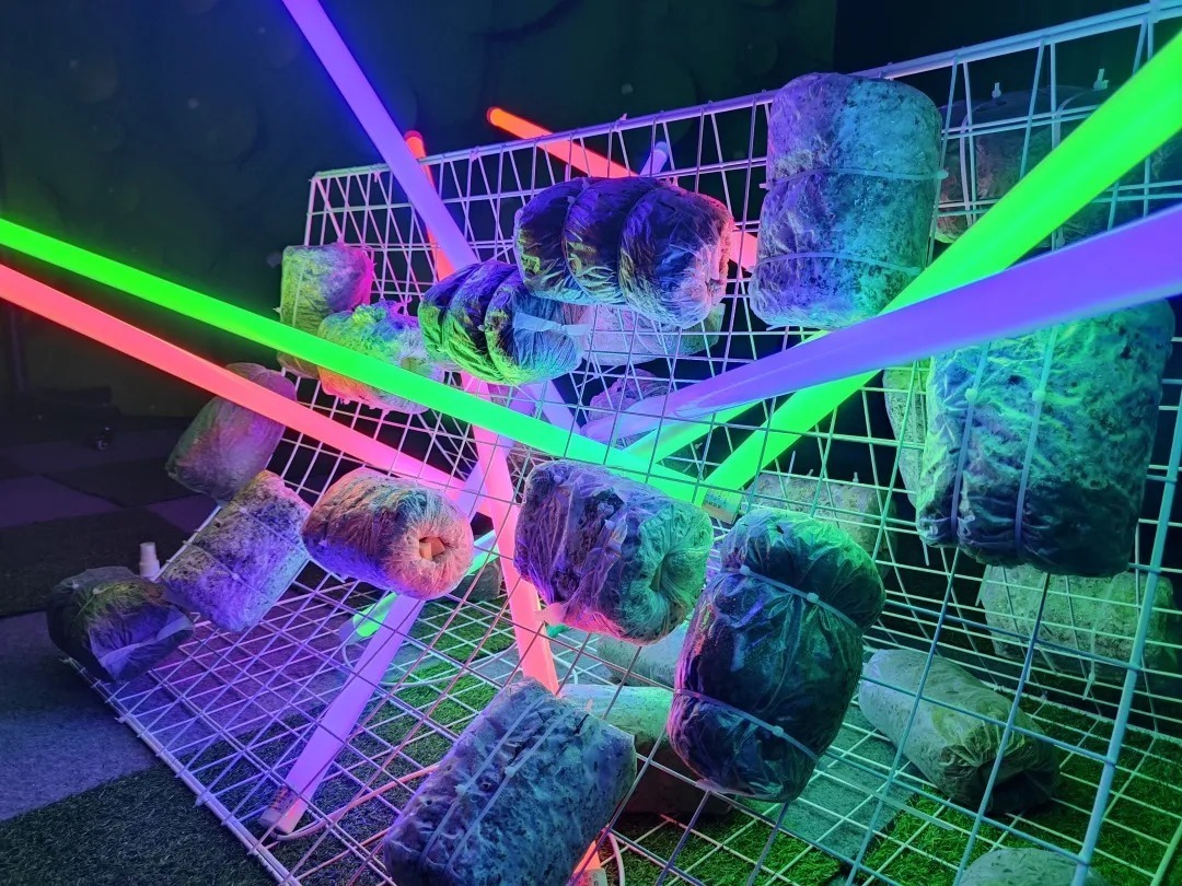 云朵$年节已过,新年第一场艺术展就决定来这里了!