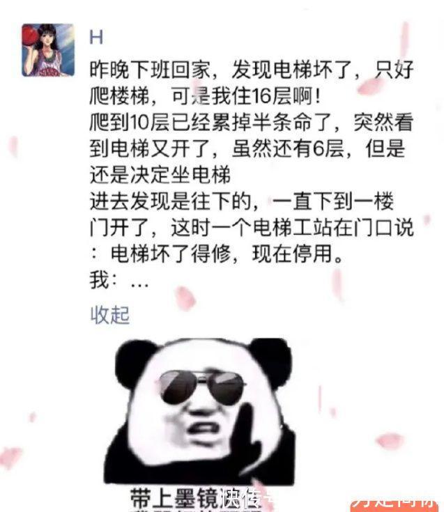 |搞笑图片，请问世界最佳跳水组合是谁呢？