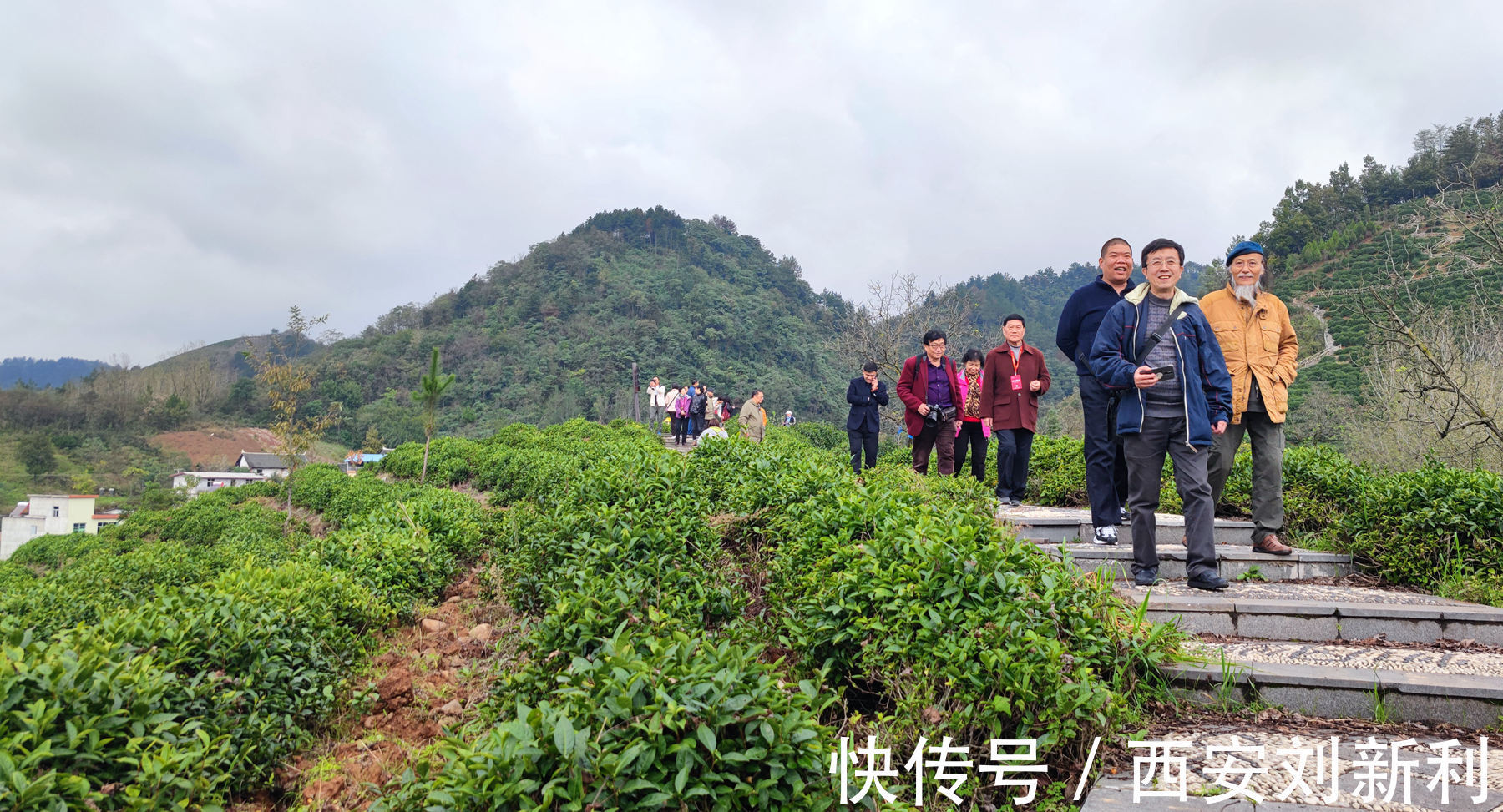 后湾村|赏商南后湾村 阳城驿 金丝峡美景 品鉴泉茗茶宴 商南小吃宴 金丝十三花