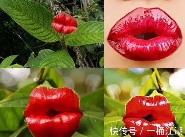 快来亲吻我、热情的吻、甜蜜的吻,深情的拥抱甜蜜的热吻