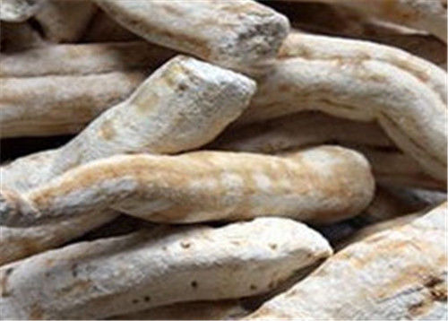 天花粉的功效与作用有哪些天花粉可以怎么吃0 快资讯