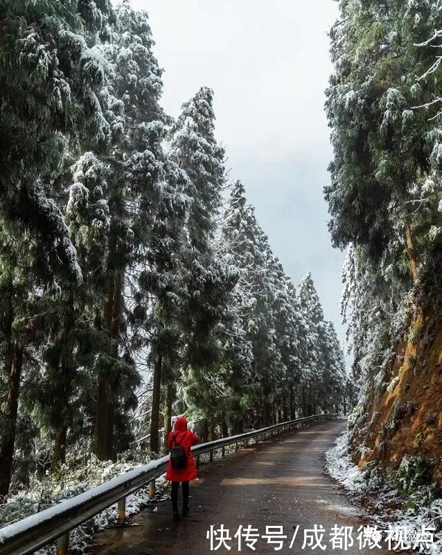 林海雪原|想看“林海雪原”，不用去东北，叙永就有