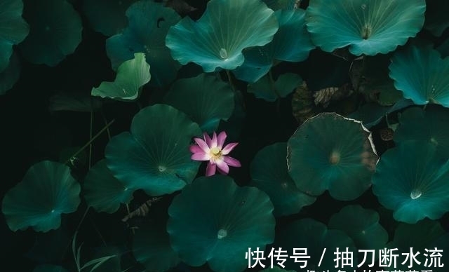 浪漫的事|旧爱来访，痴心一片，情投意合，难以割舍，甜蜜终重圆