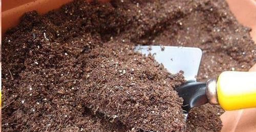 花友会|换盆的旧土里放点这个小东西,没想到变得比新土还要肥沃