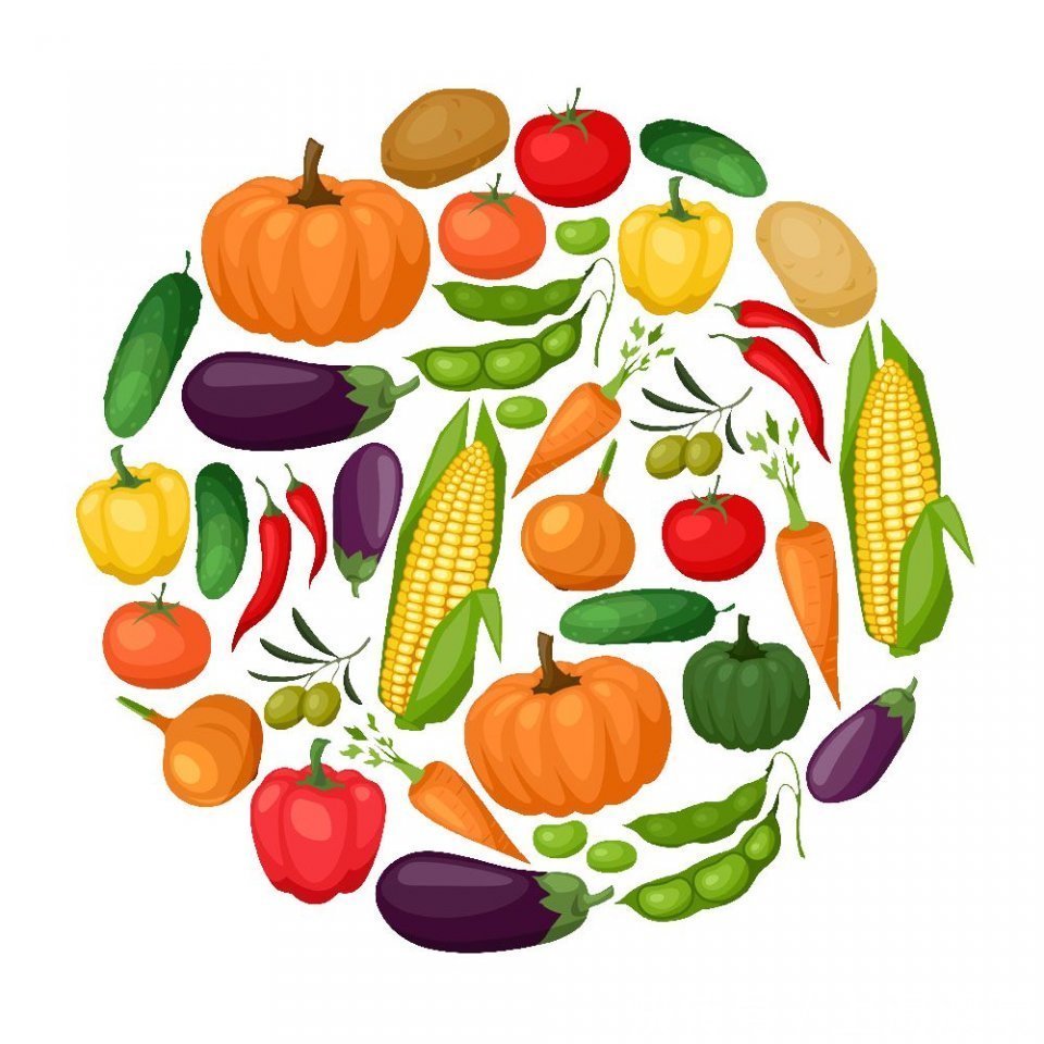 糖尿病|营养治疗是糖尿病治疗的基础