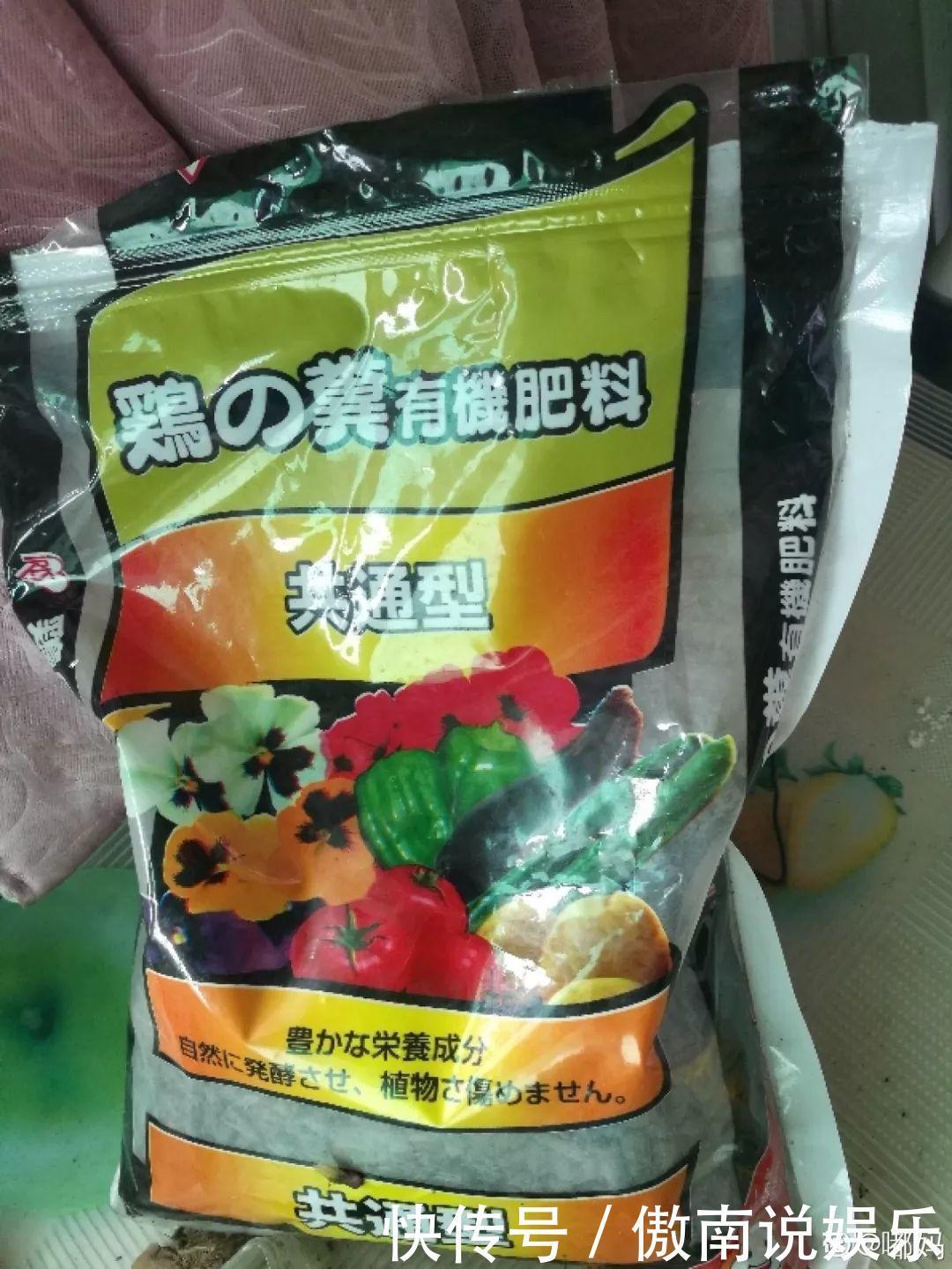 大疙瘩|盆土硬成大疙瘩,浇点松土剂,立马软得像发糕!