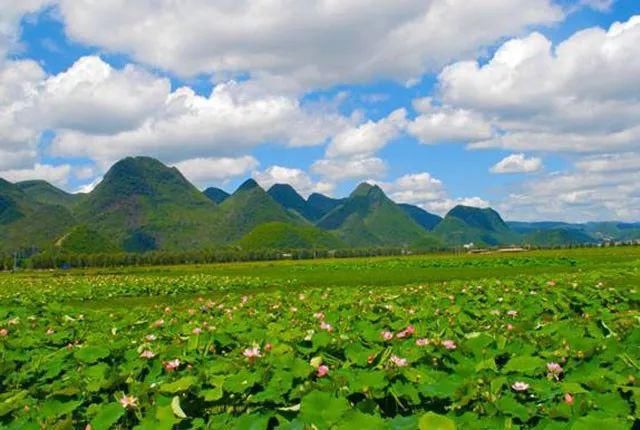 田园|云南一个似山水田园水墨画的景区拟确定为国家5A级旅游景区