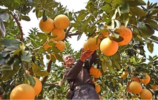 健康|冬天到了,3种食物赶快丢掉,别影响全家健康,早知早受益