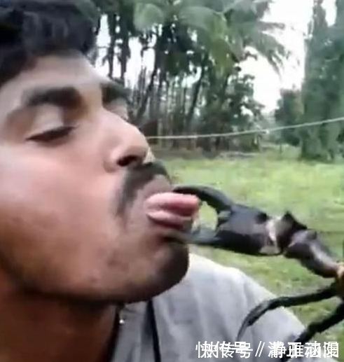 |爆笑段子:她从包里掏手机看时间,然后说了句“卧槽”