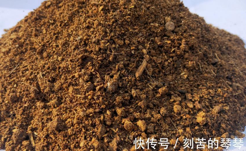 三种不花钱的植料，用来养殖兰花和君子兰真不错，经验分享