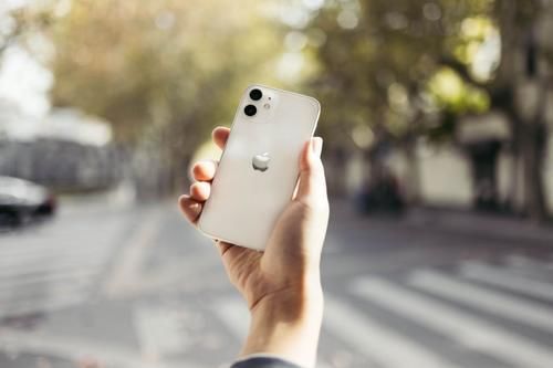 Max|iPhone 12 mini & 12 Pro Max 体验：两个极致