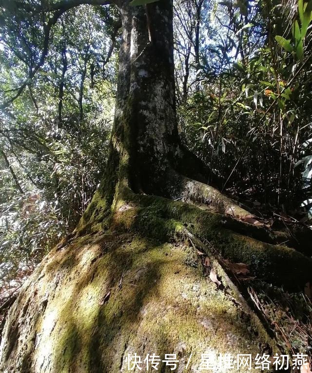 仙游石剑山，山顶一巨石形似利剑，有点霸气