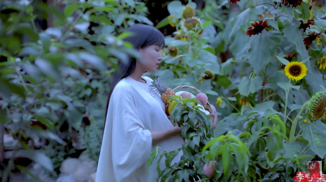  中国痰盂国外爆火变身「东方果篮」，这样的文化「反差懵」可以多一些