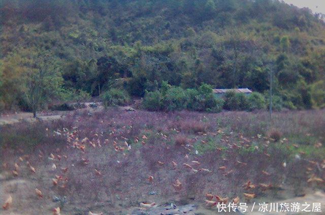 转恨|有约闻鸡同起舞灯前转恨漏声迟!