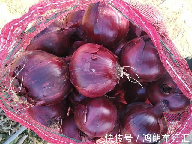 才知道“紫皮洋葱”和“白皮洋葱”的区别这么大,看完别再买错了
