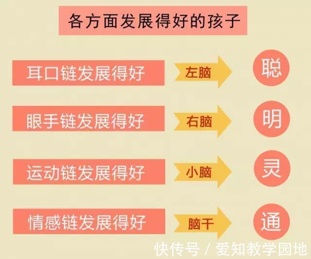 脑干|如何培养出聪明灵通的孩子？