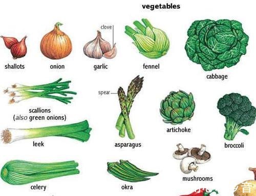 洋葱|夏天，建议多给家人吃5种碱性蔬菜，应季而食，健康度过三伏天！