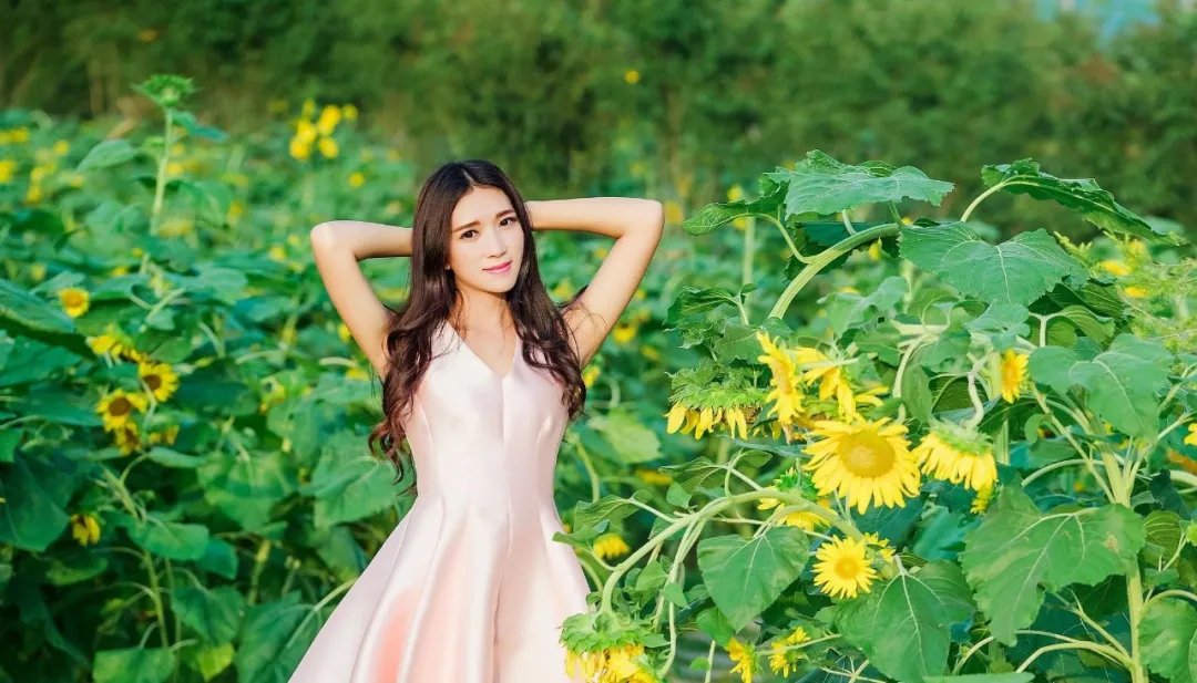 锦绣未央|七月,锦绣未央