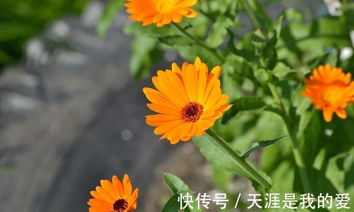 朋友之间|本周运势欣喜多乐,财运亨通的3大生肖