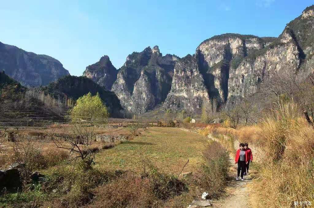 陵川红豆杉大峡谷