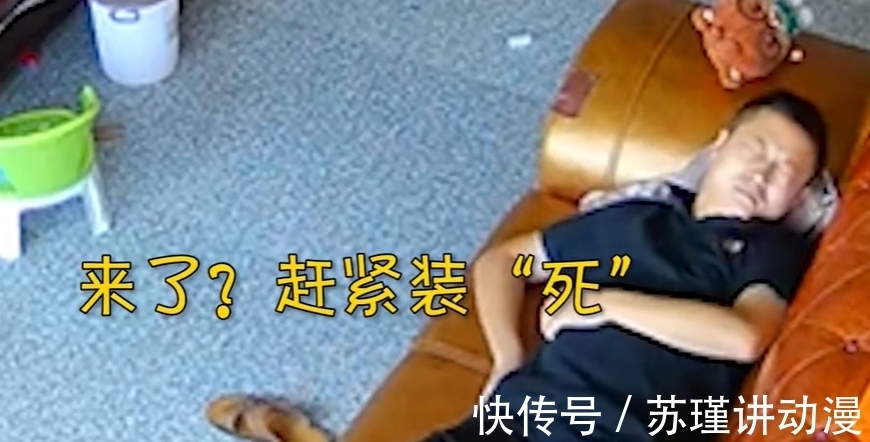 家伙|河南一宝爸不想带娃假装睡觉,不料儿子直接抄家伙直接把爸爸敲醒