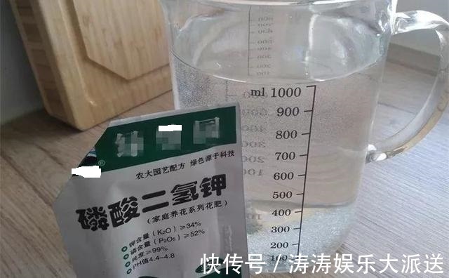 浇灌|2种促进植物开花的“万能肥”，花期前，浇水加一勺，蹭蹭冒花苞