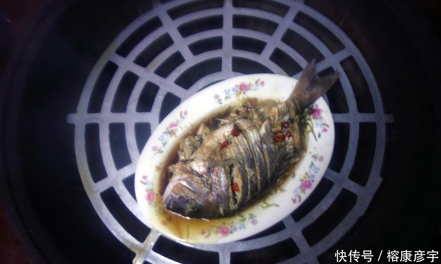 把齐鱼是海鱼吗 把齐鱼是海鱼吗