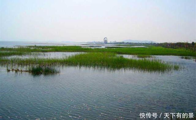 钓鱼|夏季钓鱼,出钓时间的选择,不是大鱼少,是没赶上大鱼进食的时间