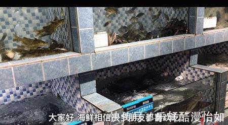 海鲜|渔民从不吃的两种海鲜，寄生虫“扎堆”，重金属超标，难吃还贵